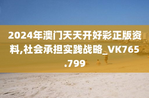 2024年澳门天天开好彩正版资料,社会承担实践战略_VK765.799