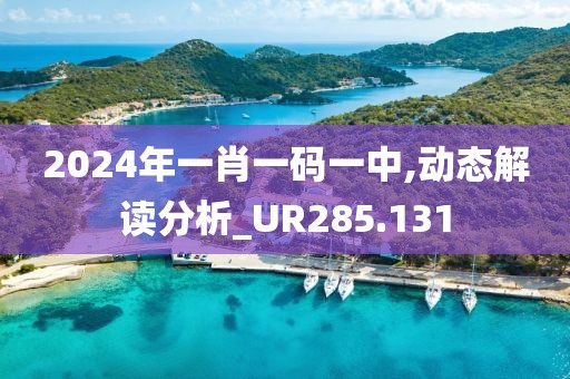 2024年一肖一码一中,动态解读分析_UR285.131