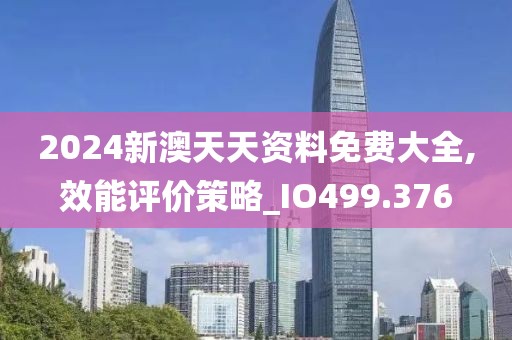 2024新澳天天资料免费大全,效能评价策略_IO499.376