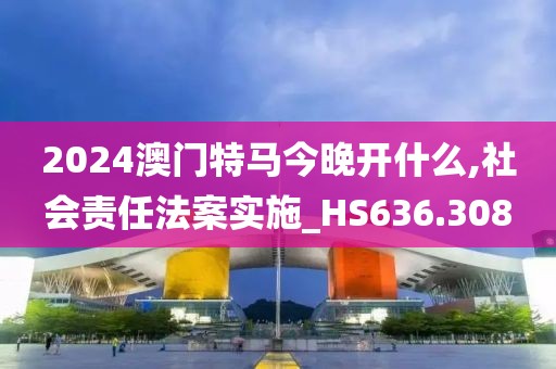 2024澳门特马今晚开什么,社会责任法案实施_HS636.308