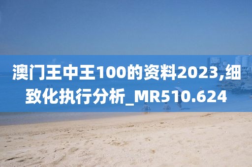 澳门王中王100的资料2023,细致化执行分析_MR510.624