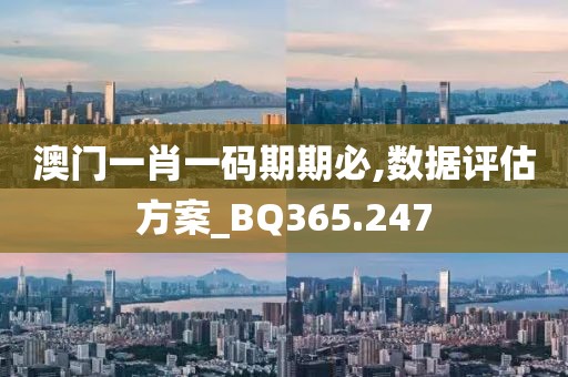 澳门一肖一码期期必,数据评估方案_BQ365.247
