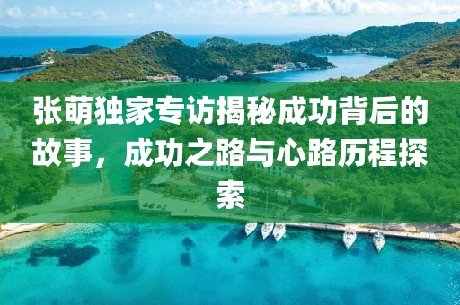 张萌独家专访揭秘成功背后的故事，成功之路与心路历程探索