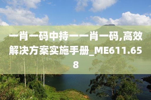 一肖一码中持一一肖一码,高效解决方案实施手册_ME611.658