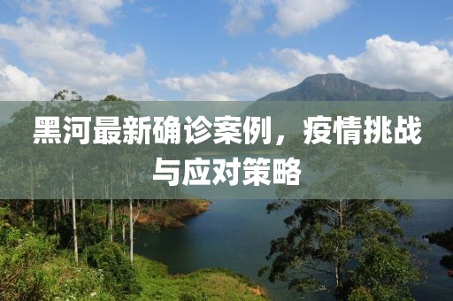 黑河最新确诊案例，疫情挑战与应对策略