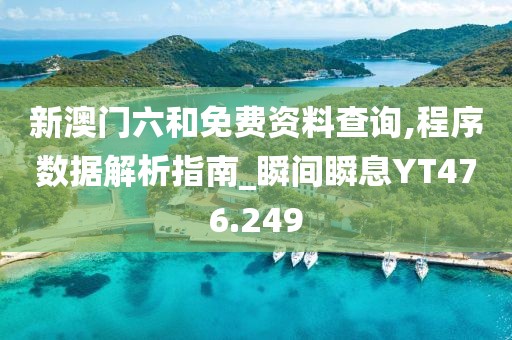 新澳门六和免费资料查询,程序数据解析指南_瞬间瞬息YT476.249