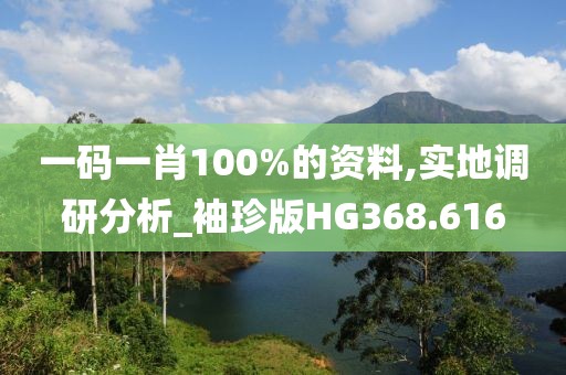 一码一肖100%的资料,实地调研分析_袖珍版HG368.616