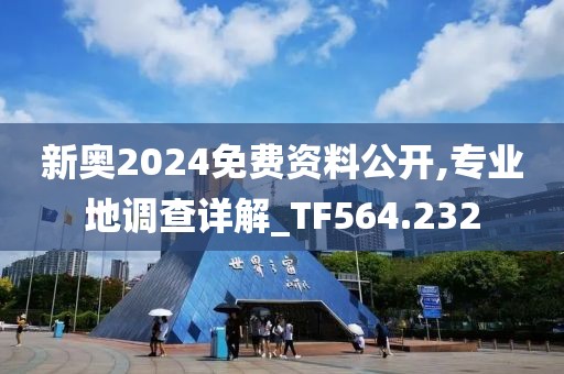 新奥2024免费资料公开,专业地调查详解_TF564.232