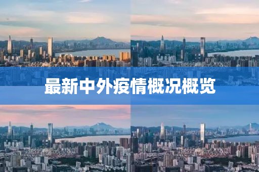 最新中外疫情概况概览