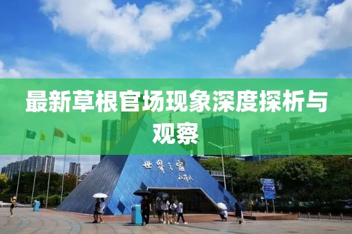 最新草根官场现象深度探析与观察