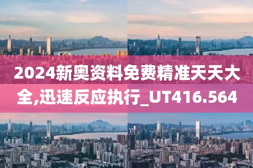 2024新奥资料免费精准天天大全,迅速反应执行_UT416.564