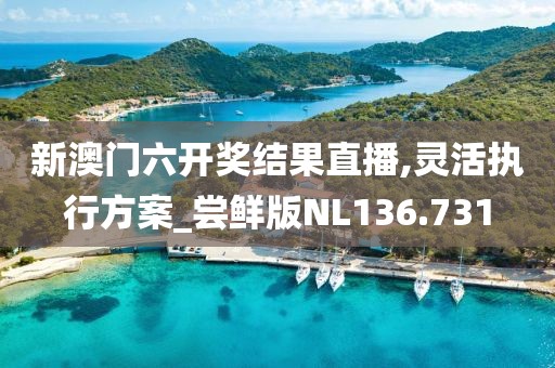 新澳门六开奖结果直播,灵活执行方案_尝鲜版NL136.731