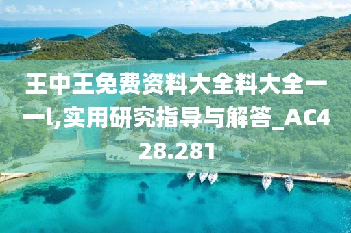 王中王免费资料大全料大全一一l,实用研究指导与解答_AC428.281