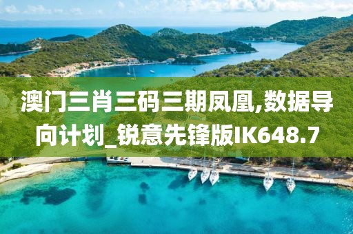澳门三肖三码三期凤凰,数据导向计划_锐意先锋版IK648.7