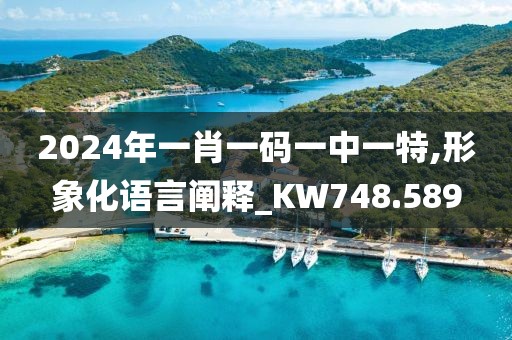 2024年一肖一码一中一特,形象化语言阐释_KW748.589