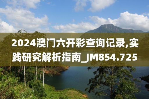 2024澳门六开彩查询记录,实践研究解析指南_JM854.725