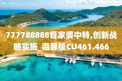 777788888管家婆中特,创新战略实施_温馨版CU461.466
