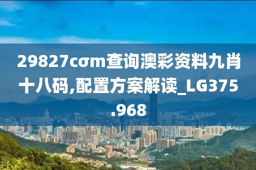 29827cσm查询澳彩资料九肖十八码,配置方案解读_LG375.968