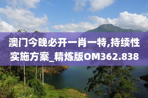 澳门今晚必开一肖一特,持续性实施方案_精炼版OM362.838