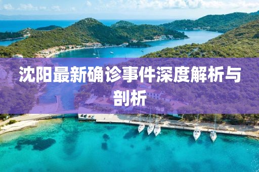 沈阳最新确诊事件深度解析与剖析