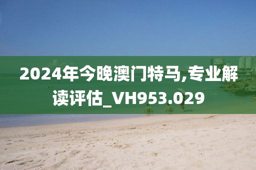 2024年今晚澳门特马,专业解读评估_VH953.029