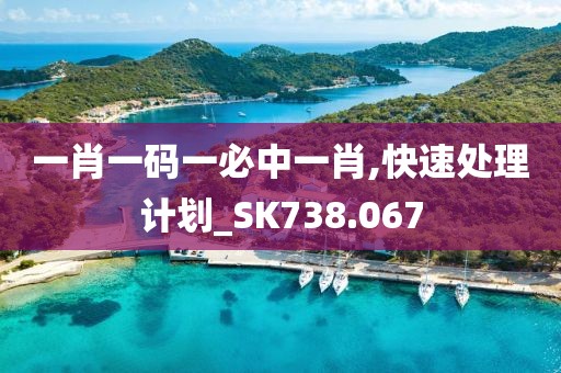 一肖一码一必中一肖,快速处理计划_SK738.067