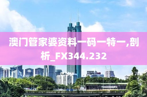 澳门管家婆资料一码一特一,剖析_FX344.232