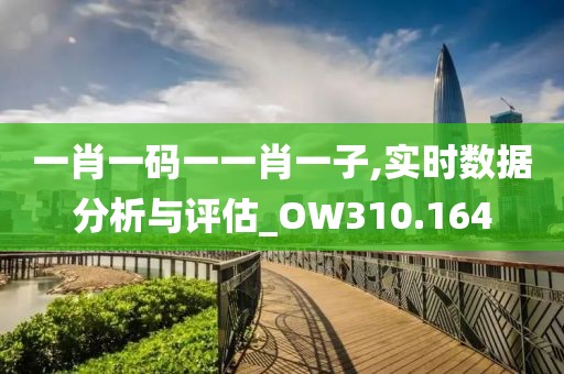一肖一码一一肖一子,实时数据分析与评估_OW310.164