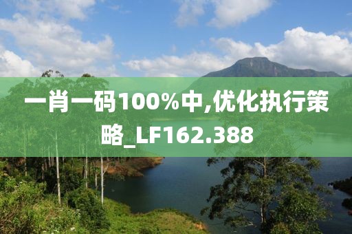 一肖一码100%中,优化执行策略_LF162.388