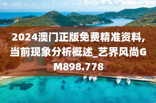 2024澳门正版免费精准资料,当前现象分析概述_艺界风尚GM898.778