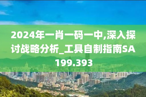 2024年一肖一码一中,深入探讨战略分析_工具自制指南SA199.393