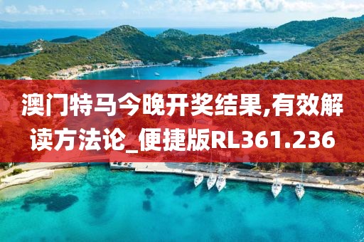 澳门特马今晚开奖结果,有效解读方法论_便捷版RL361.236