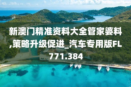 新澳门精准资料大全管家婆料,策略升级促进_汽车专用版FL771.384