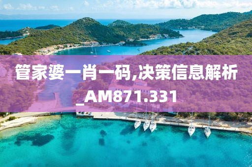 管家婆一肖一码,决策信息解析_AM871.331
