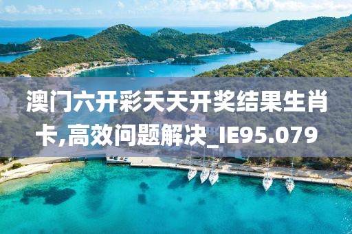 澳门六开彩天天开奖结果生肖卡,高效问题解决_IE95.079
