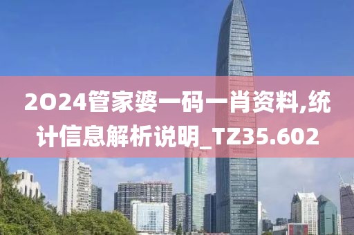 2O24管家婆一码一肖资料,统计信息解析说明_TZ35.602