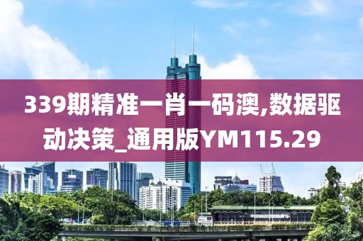 339期精准一肖一码澳,数据驱动决策_通用版YM115.29