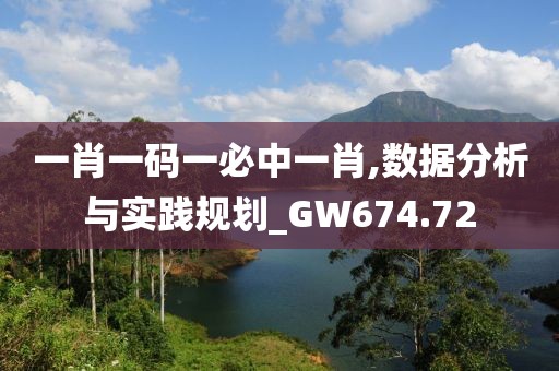 一肖一码一必中一肖,数据分析与实践规划_GW674.72