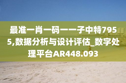 最准一肖一码一一子中特7955,数据分析与设计评估_数字处理平台AR448.093