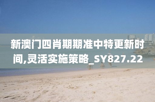 新澳门四肖期期准中特更新时间,灵活实施策略_SY827.22