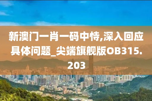 新澳门一肖一码中恃,深入回应具体问题_尖端旗舰版OB315.203