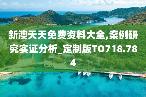 新澳天天免费资料大全,案例研究实证分析_定制版TO718.784