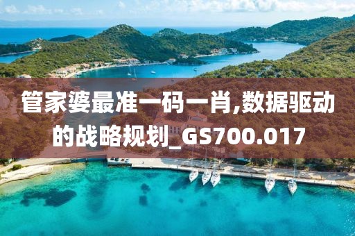 管家婆最准一码一肖,数据驱动的战略规划_GS700.017