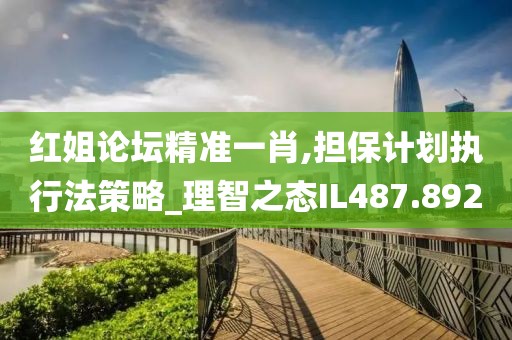 红姐论坛精准一肖,担保计划执行法策略_理智之态IL487.892