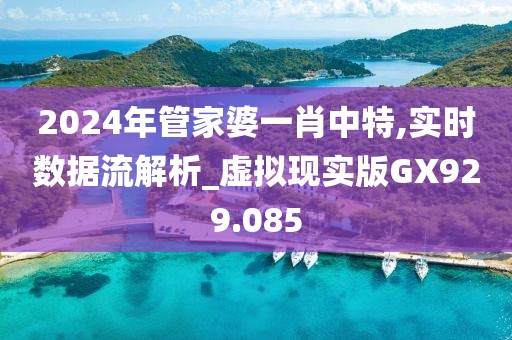 2024年管家婆一肖中特,实时数据流解析_虚拟现实版GX929.085