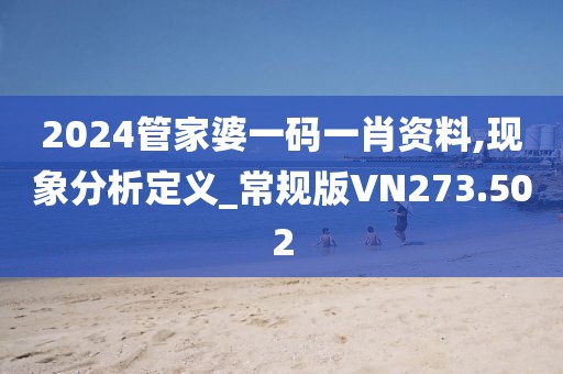 2024管家婆一码一肖资料,现象分析定义_常规版VN273.502