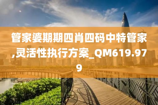 管家婆期期四肖四码中特管家,灵活性执行方案_QM619.979