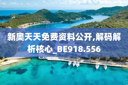 新奥天天免费资料公开,解码解析核心_BE918.556