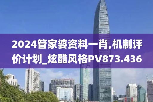 2024管家婆资料一肖,机制评价计划_炫酷风格PV873.436