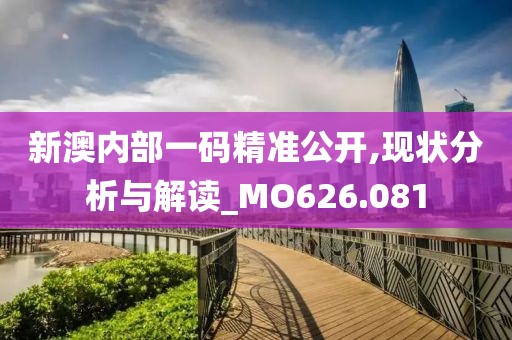 新澳内部一码精准公开,现状分析与解读_MO626.081